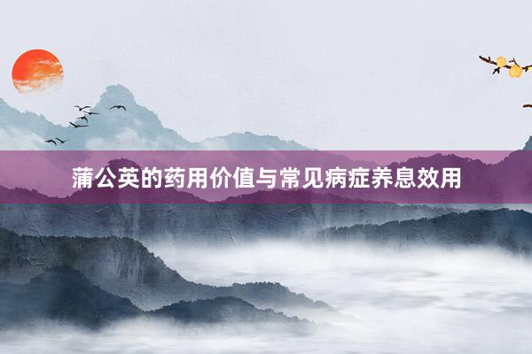 蒲公英的药用价值与常见病症养息效用