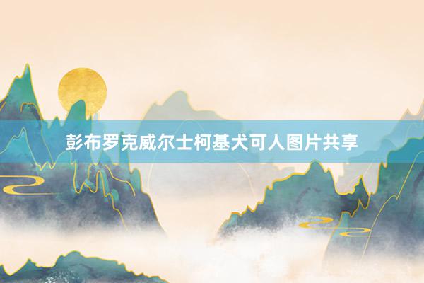 彭布罗克威尔士柯基犬可人图片共享