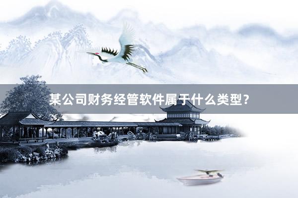 某公司财务经管软件属于什么类型？